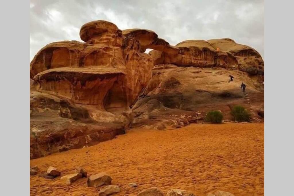 Bedouin Nature Travels Wadi Musa Bagian luar foto